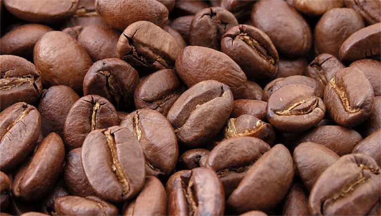 5 jenis kopi