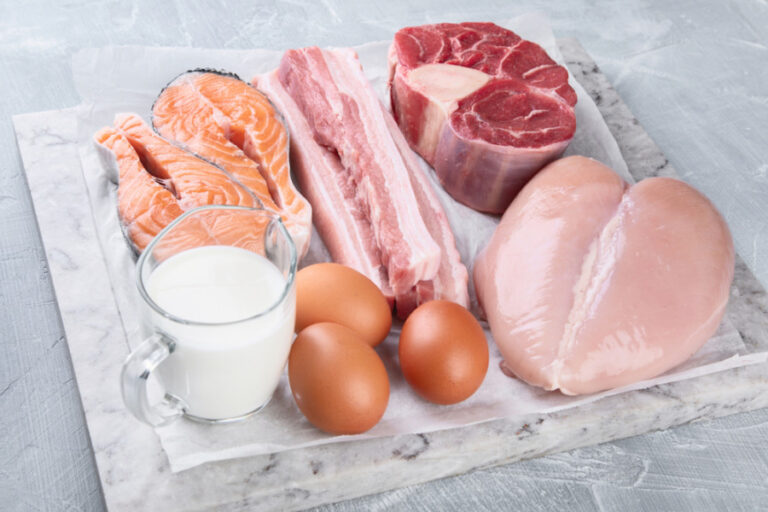 protein hewani