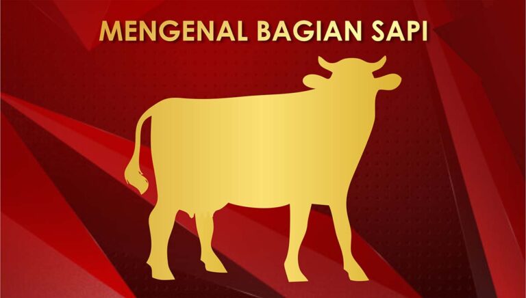 bagian sapi
